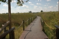 Walkway to boat dock 